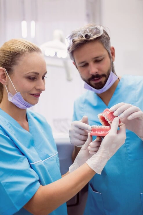 dentists having discussion teeth model 107420 65559
